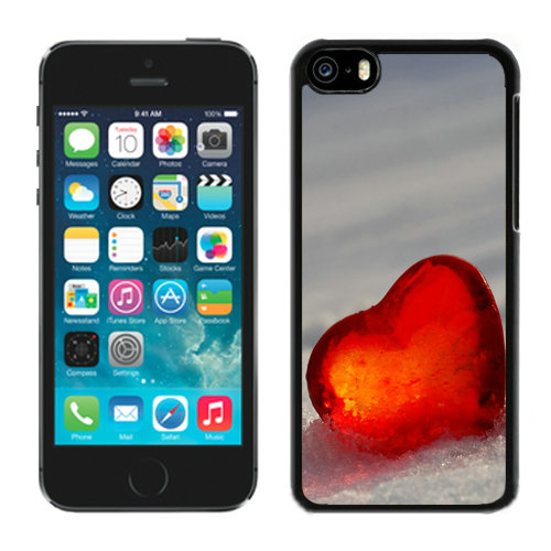 Valentine Snow Love iPhone 5C Cases CRM | Coach Outlet Canada